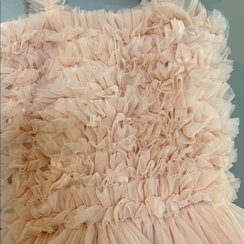 Pink Ruffled Tulle Dress - Picture 4 of 7